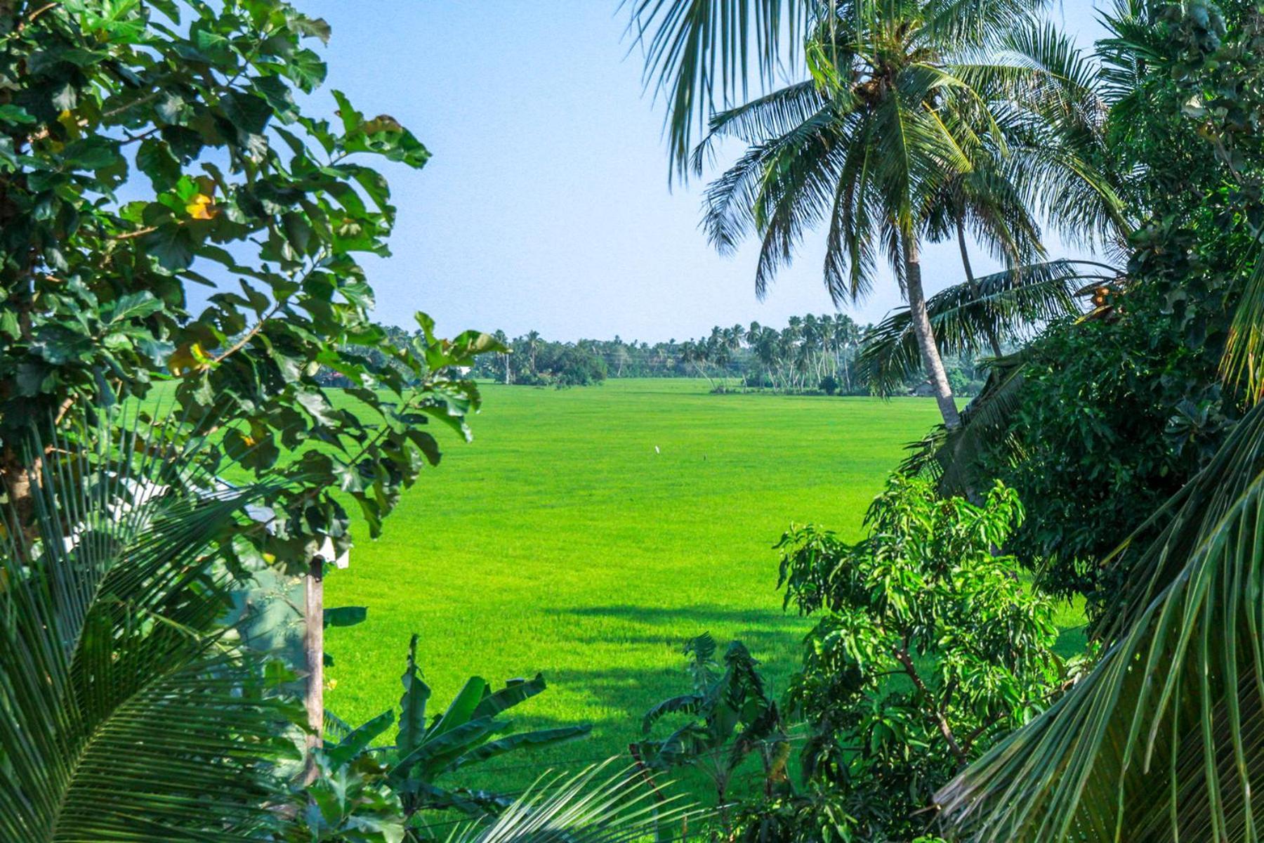 Hotel Nilketha Yala Tissamaharama Esterno foto